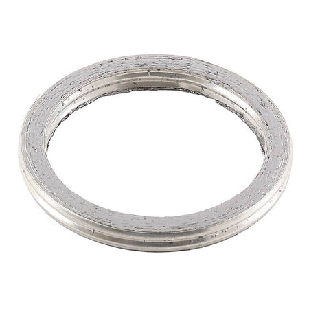 Exhaust Gasket Kit 823076