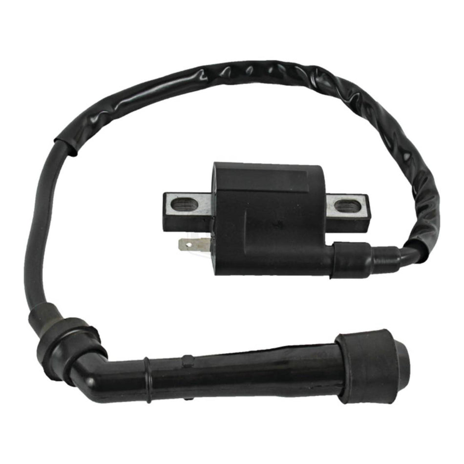 J&N Ignition Coil (160-01068)