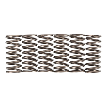 Premier Clutch Springs - Heavy Duty