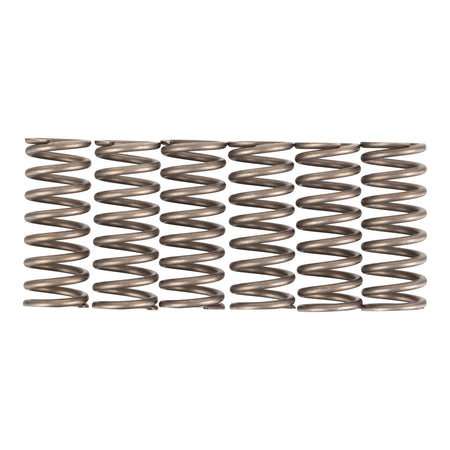 Premier Clutch Springs - Heavy Duty