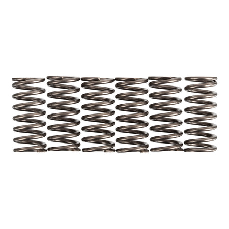 Premier Clutch Springs - Heavy Duty