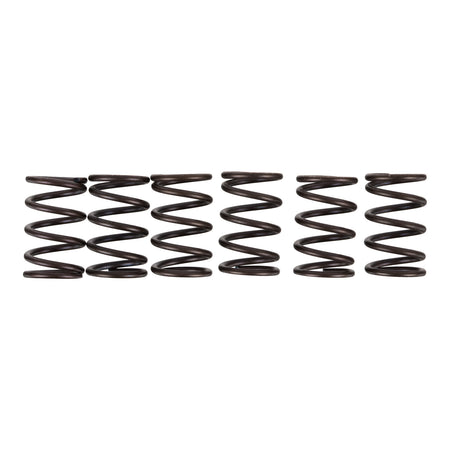 Premier Clutch Springs - Heavy Duty