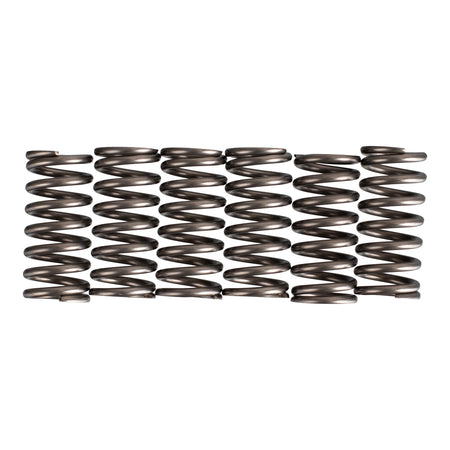 Premier Clutch Springs - Heavy Duty