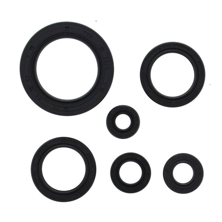 Oil Seal Kit 822978